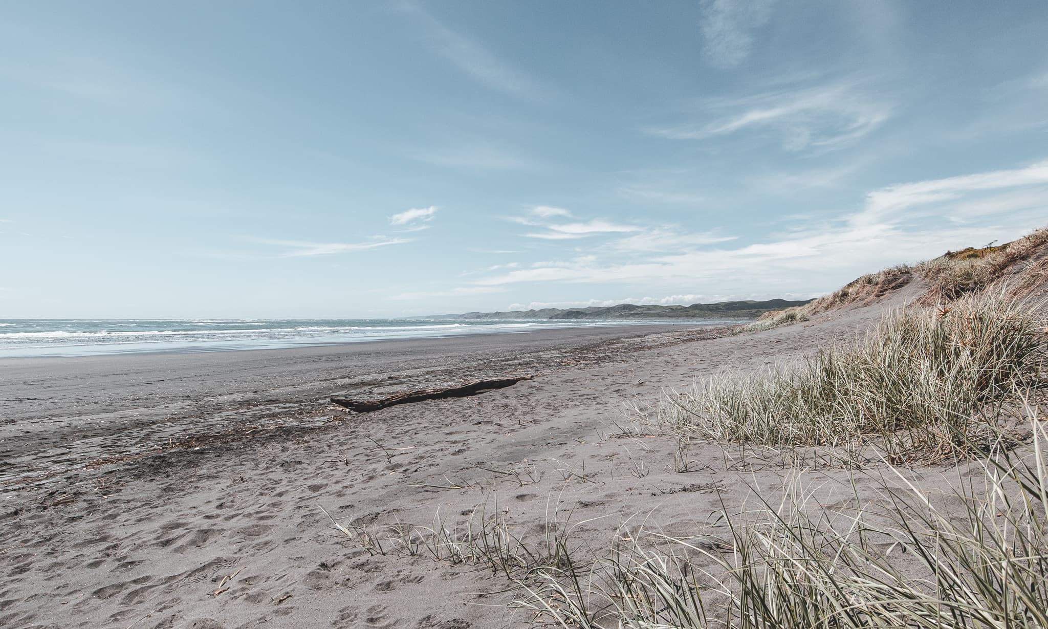 An empty beach of dark grey sand, with a driftwood log and grassy dunes to one side and surf in the distance.