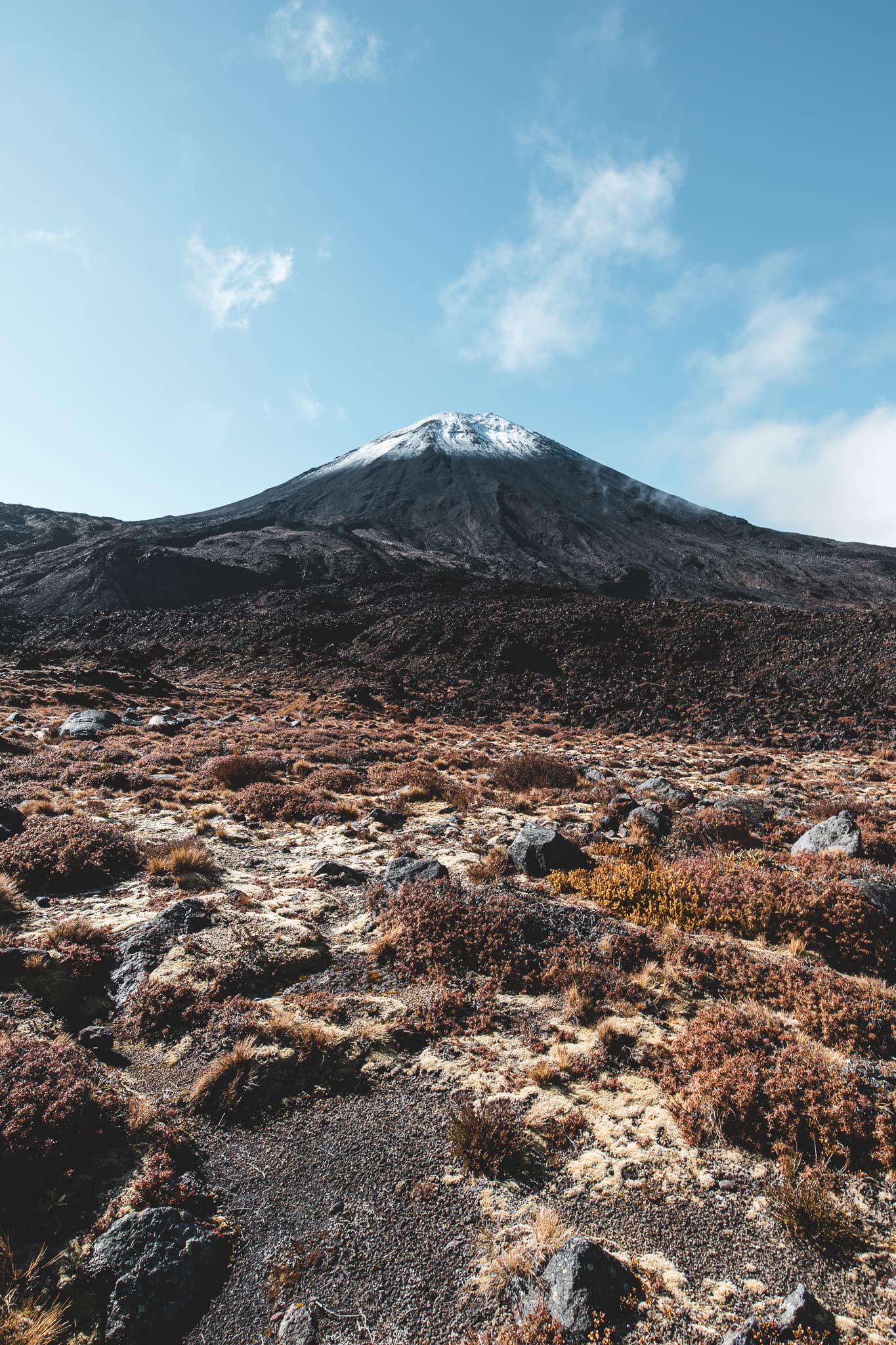 A snow-capped volcanic cone above a dark lava field and low red and gold scrub.