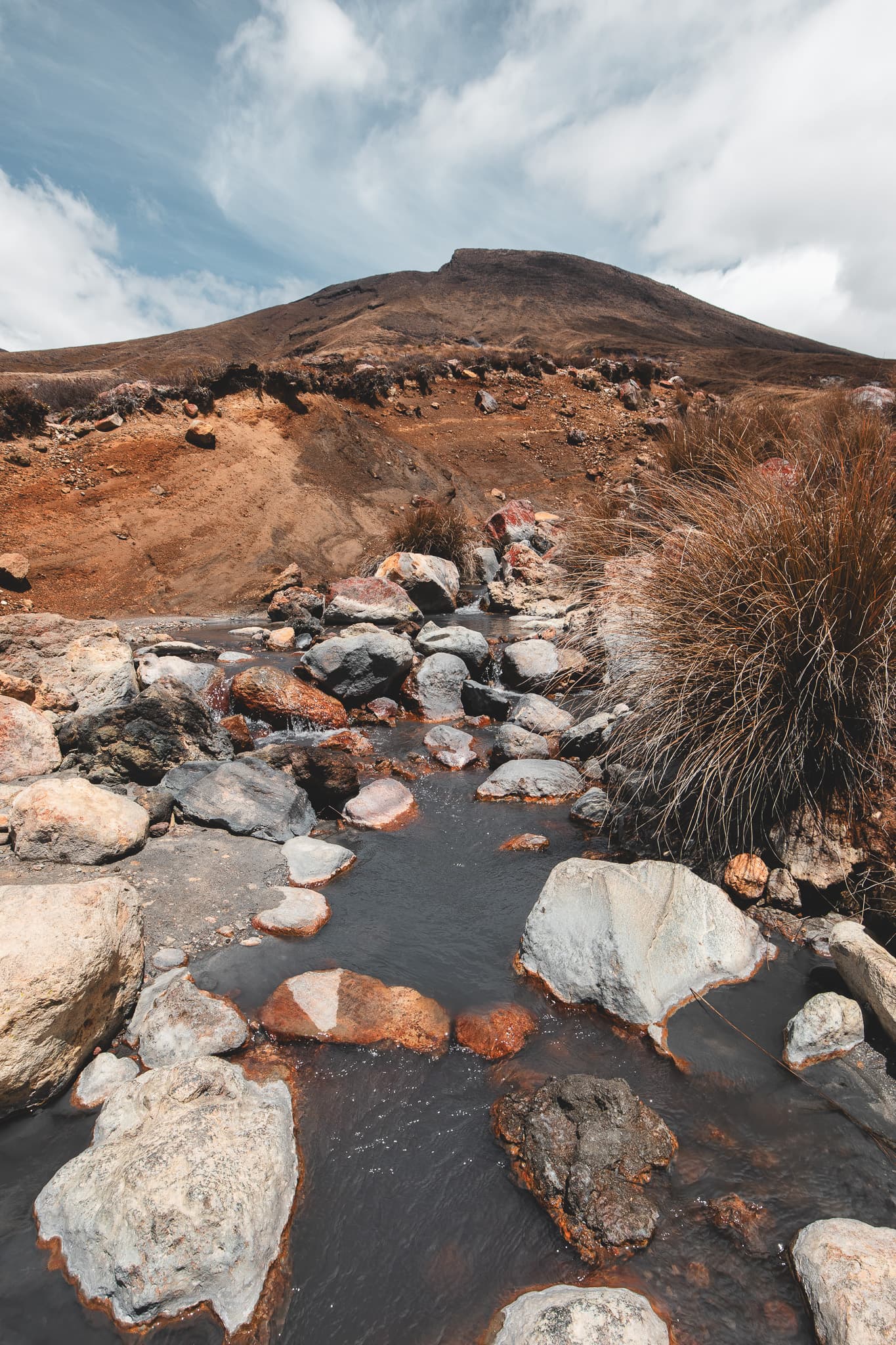 A shallow stream running between rust-stained rocks and a clump of tussock, below a bare brown hill.